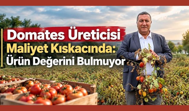 Domates Üreticisi Maliyet Kıskacında: Ürün Değerini Bulmuyor