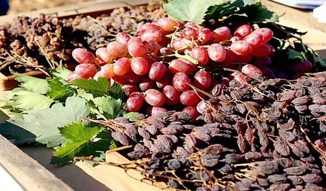 Üzümün Güneşte Değişen Hikâyesi!