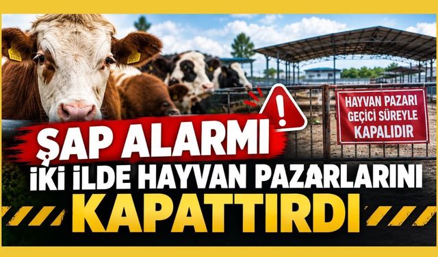 Şap Alarmı İki İlde Hayvan Pazarlarını Kapattırdı