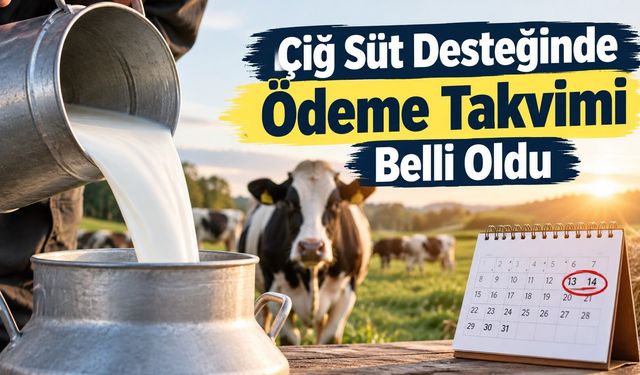 Çiğ Süt Desteğinde Ödeme Takvimi Belli Oldu