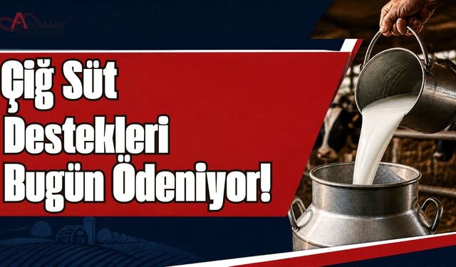 Çiğ Süt Destekleri Bugün Ödeniyor!