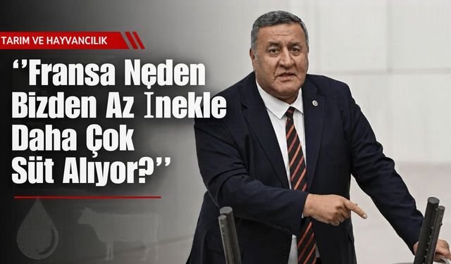 ''Fransa Neden Bizden Az İnekle Daha Çok Süt Alıyor?''