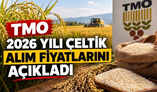 TMO 2026 Yılı Çeltik Alım Fiyatlarını Açıkladı!
