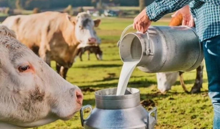 Çiğ Süt Desteği Ödemelerine İlişkin Esaslar Resmi Gazete’de Yayımlandı