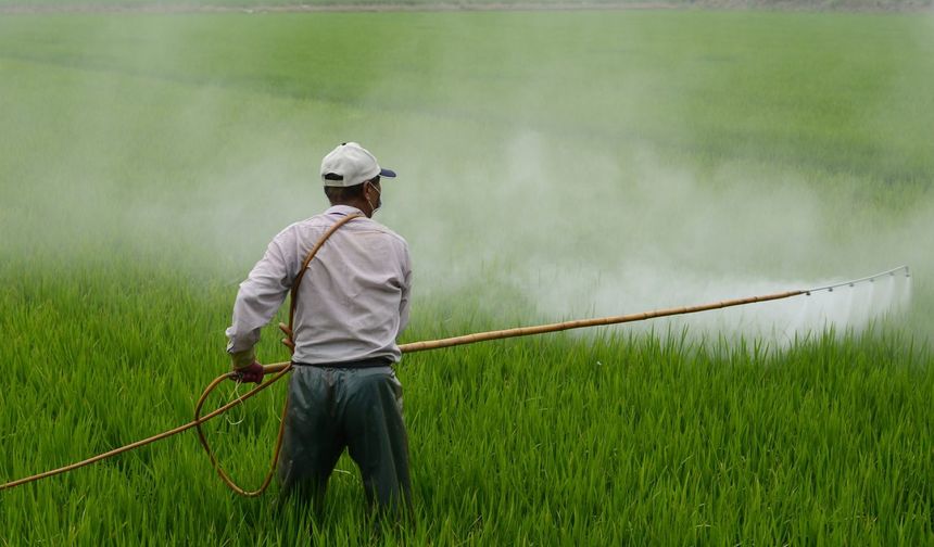 Tarım’da Pestisit Sorunu