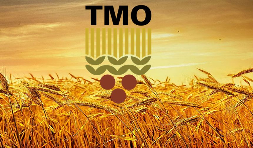 TMO’dan Ucuz Arpa Satışı!