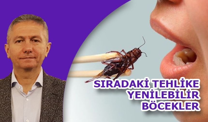 SIRADAKİ TEHLİKE YENİLEBİLİR BÖCEKLER!