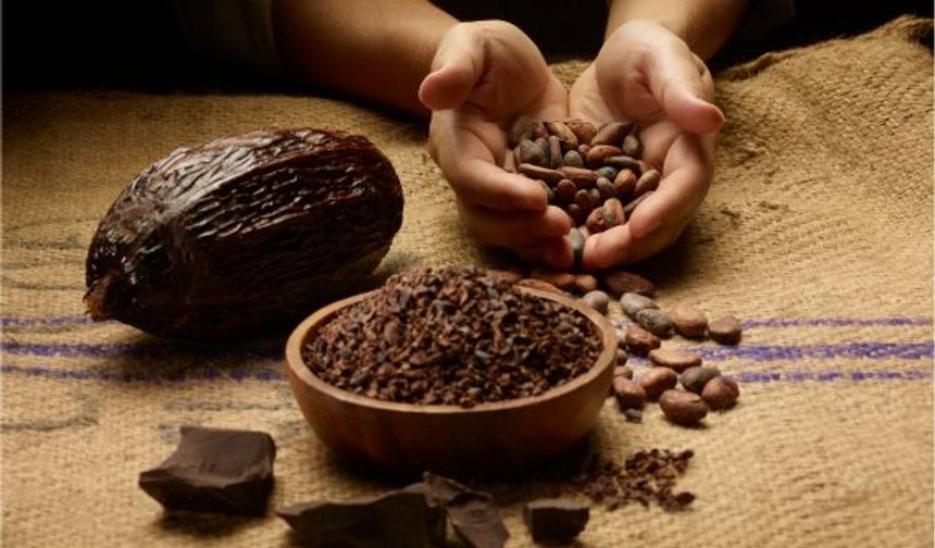Çikolata Keyfi Pahalıya Patlayabilir! Kuraklık Kakao Fiyatlarını Vuruyor!
