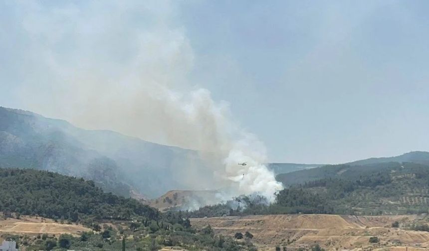 İzmir-Bornova’da Orman Yangını!