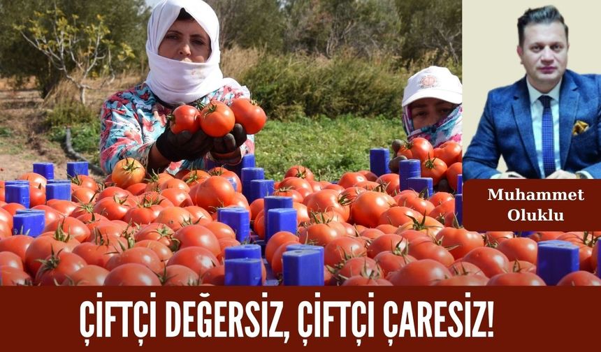 Çiftçi Değersiz, Çiftçi Çaresiz!