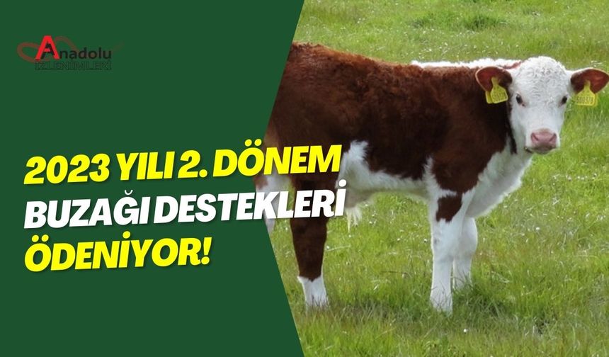 2023 Yılı 2. Dönem Buzağı Destekleri Ödeniyor!