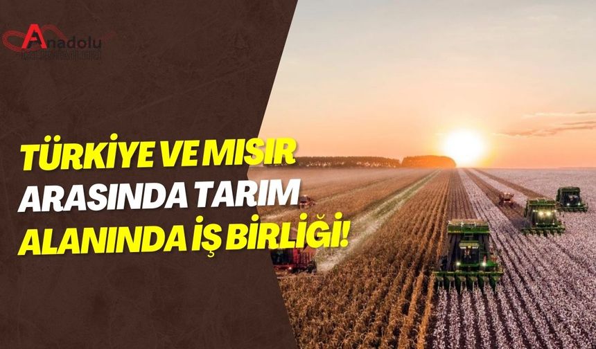 Türkiye ve Mısır Arasında Tarım Alanında İş Birliği!