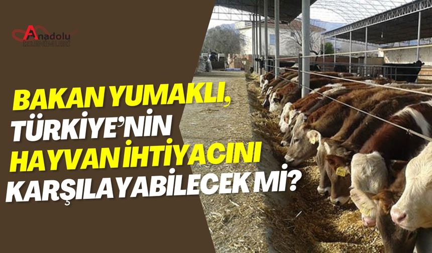 Bakan Yumaklı Türkiye’nin Hayvan İhtiyacını Karşılayabilecek mi?