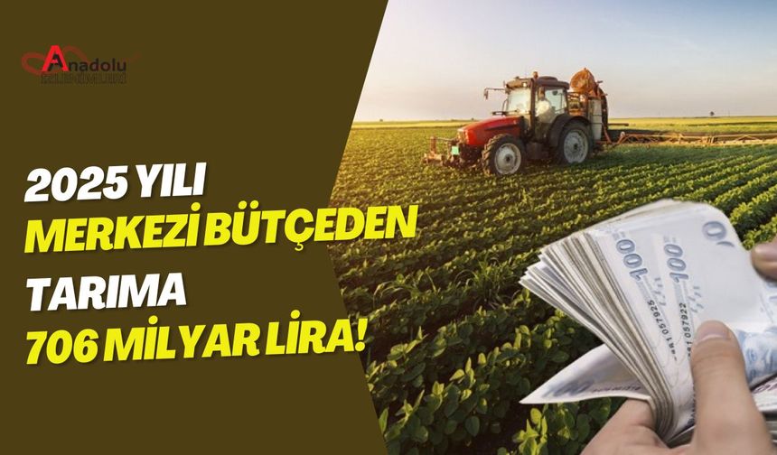 2025 Yılı Merkezi Bütçeden Tarıma 706 Milyar Lira!