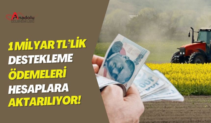 1 Milyar TL’lik Destekleme Ödemeleri Hesaplara Aktarılıyor!