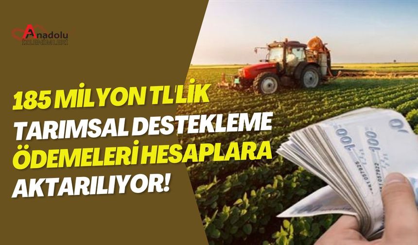 185 Milyon TL'lik Tarımsal Destekleme Ödemeleri Hesaplara Aktarılıyor!