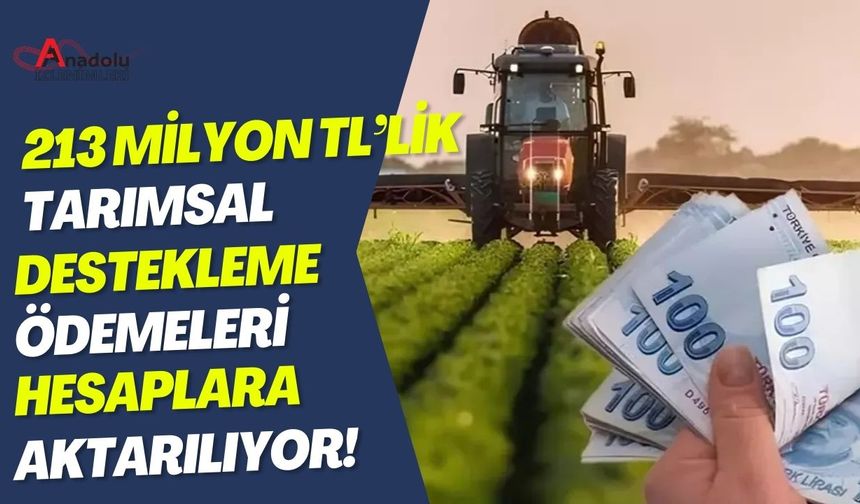 213 Milyon TL'lik Tarımsal Destekleme Ödemeleri Hesaplara Aktarılıyor!