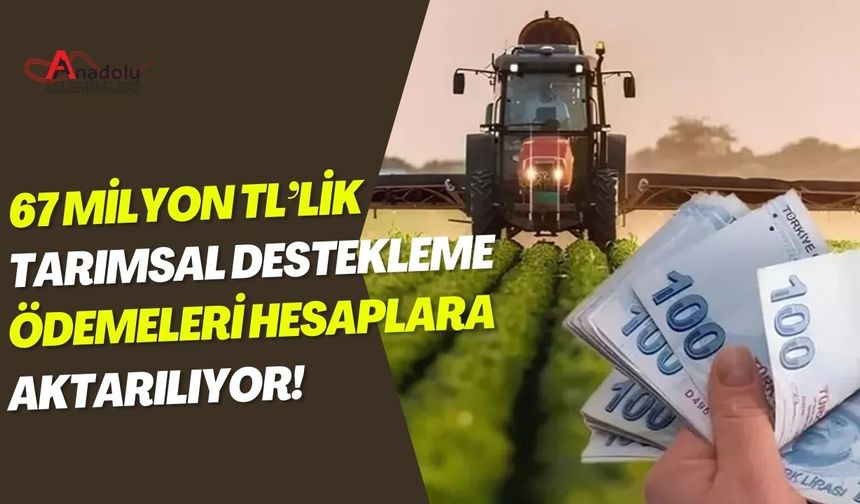 67 Milyon TL’lik Tarımsal Destekleme Ödemeleri Hesaplara Aktarılıyor!