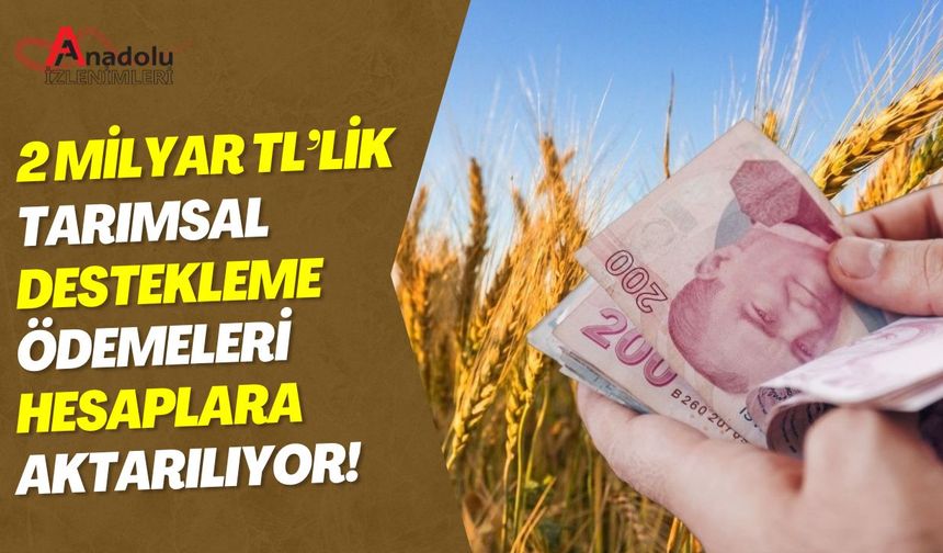 2 Milyar TL’lik Tarımsal Destekleme Ödemeleri Hesaplara Aktarılıyor!