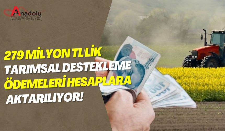 279 Milyon TL'lik Tarımsal Destekleme Ödemeleri Hesaplara Aktarılıyor!