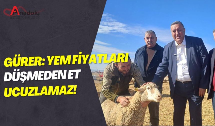 Gürer: Yem Fiyatları Düşmeden Et Ucuzlamaz!