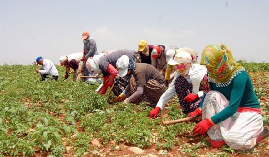 2025 Yılı Yatırım Programında Mevsimlik Tarım İşçilerine Önemli Destek!