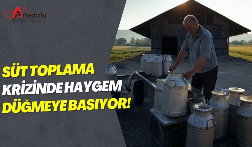 Süt Toplama Krizinde HAYGEM Düğmeye Basıyor!