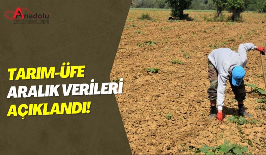 Tarım-ÜFE Aralık Verileri Açıklandı!