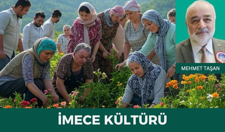 İMECE KÜLTÜRÜ