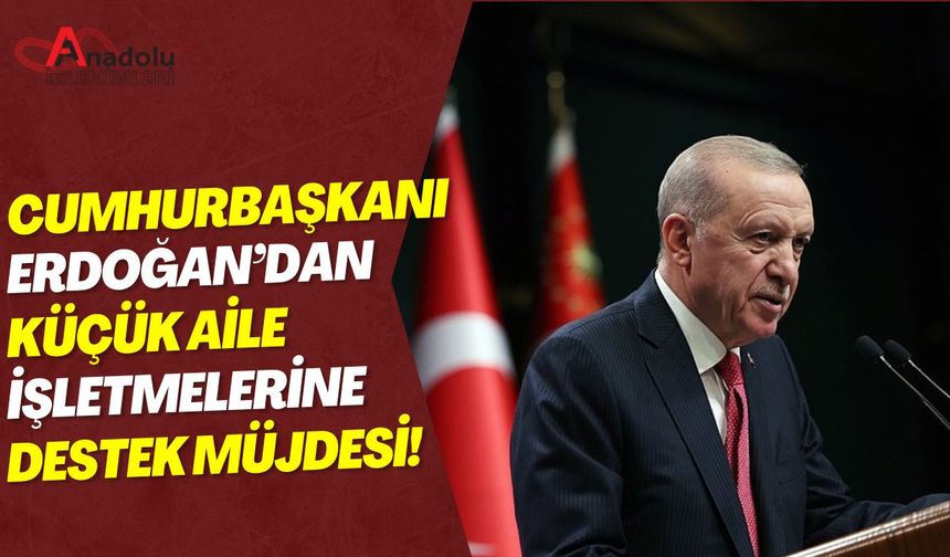 Cumhurbaşkanı Erdoğan'dan Küçük Aile İşletmelerine Destek Müjdesi!