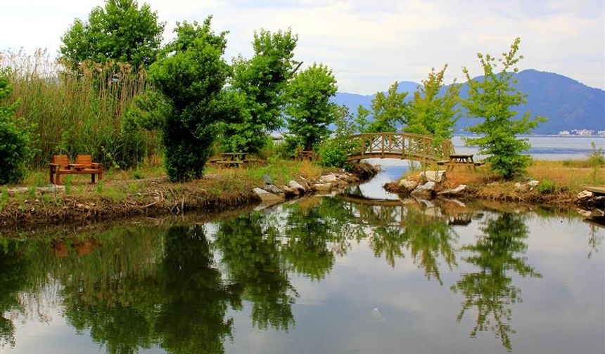 Tabiat Parklarına Ziyaretçi Akını!