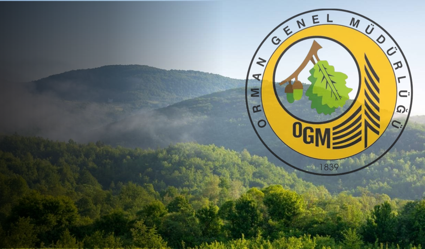 Orman Genel Müdürlüğü 105 Sözleşmeli Personel Alımı!