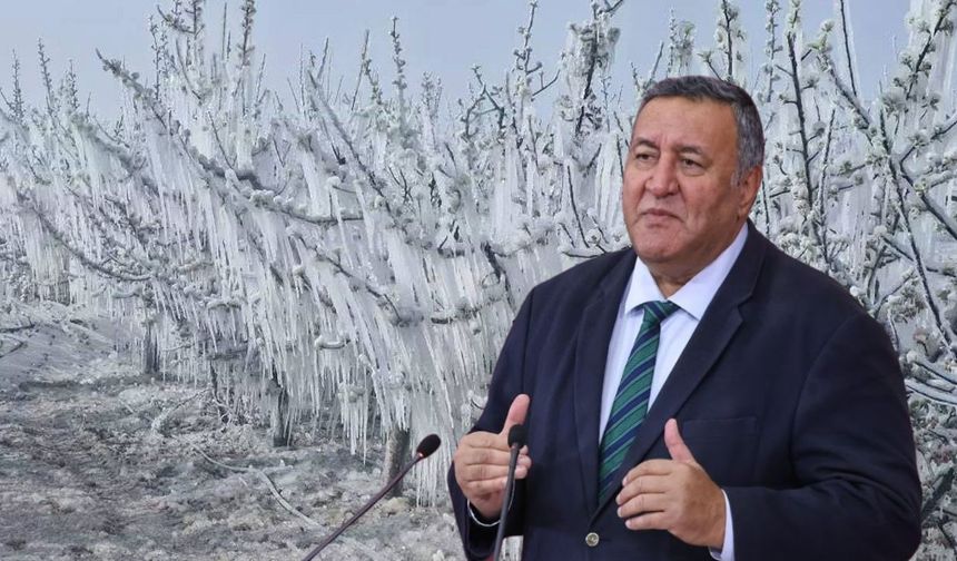 Gürer Uyardı: Gıda Krizi Kapıda!
