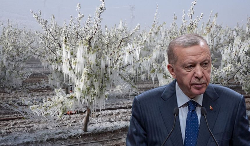 Cumhurbaşkanı Erdoğan’dan Zirai Don Açıklaması!