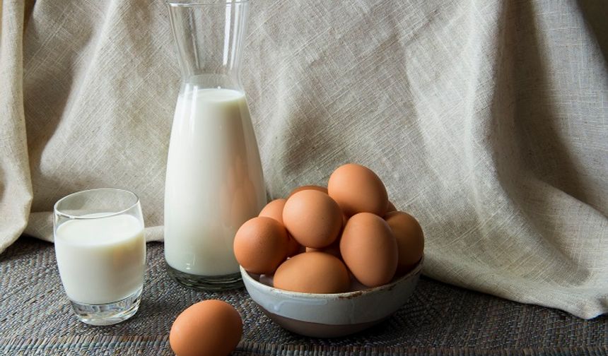 Hayvansal Üretimde Gerileme Endişe Veriyor!