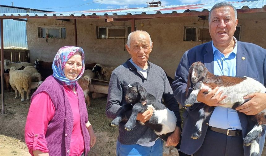 Süt Ucuz, Yem Pahalı: Elde Hayvan Kalmadı!