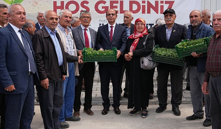 Zirai Don Mağduru Çiftçilere 250 Bin Sebze Fidesi Desteği