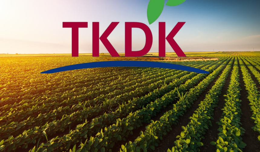 Depremzede Girişimcilere 200 Milyon TL'lik Destekleme!