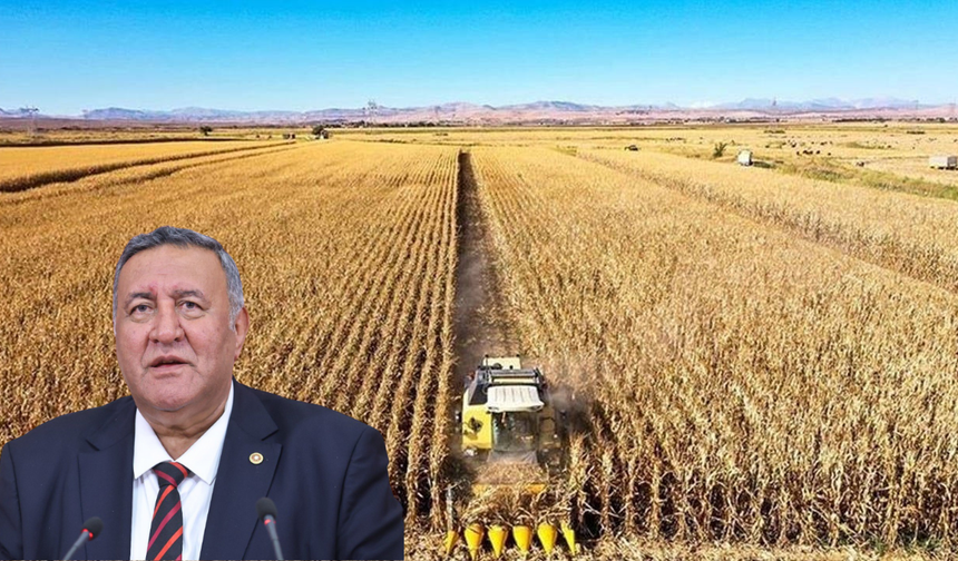 Gürer’den Zirai Don ve Kuraklık Açıklaması!