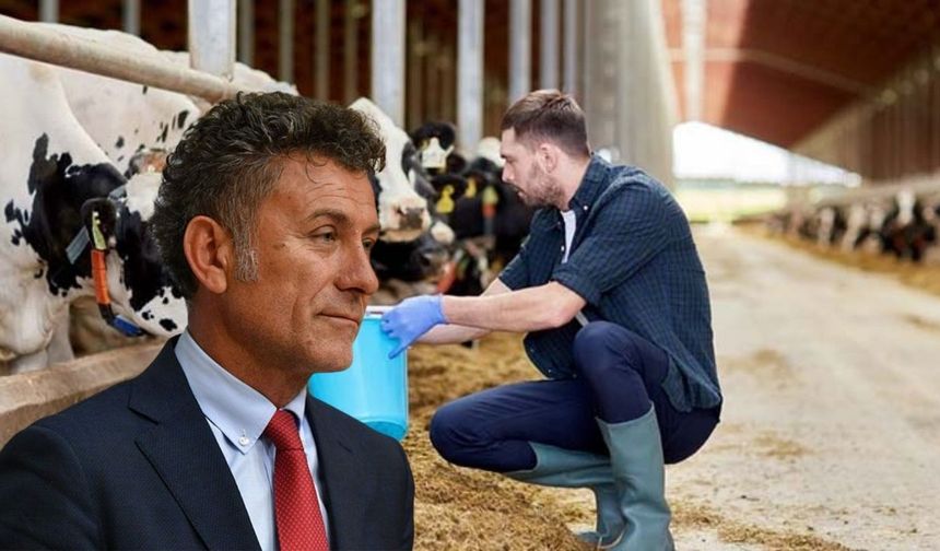 Sarıbal Sordu, Bakanlık Cevap Verdi! 3 Yıllık Hayvancılık Planı Ne Katacak?
