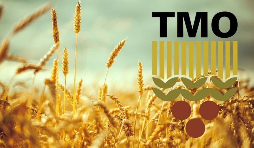 TMO’da Sessizlik, Tarlada Belirsizlik Devam Ediyor!