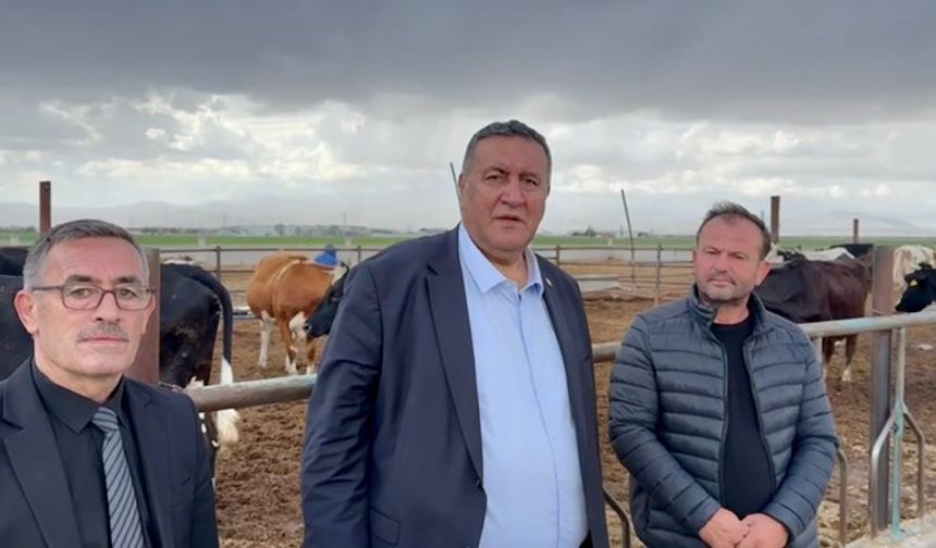 Sütte Kazanan Yok: Üretici Bitme Noktasında!