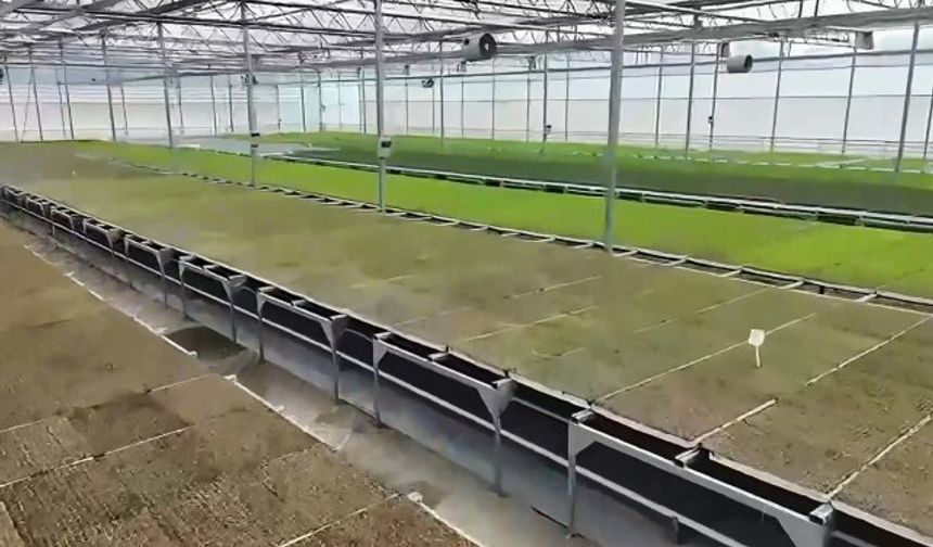 Zonguldak’ta Tarımsal Üretimde Yeni Dönem!