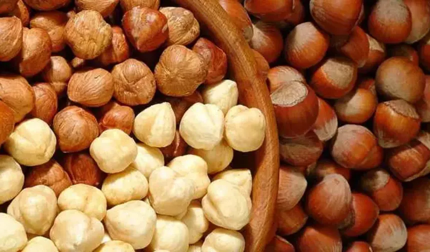 Fındık İhracatında Güvenlik Krizi!