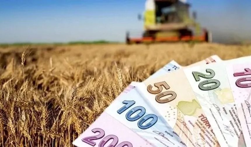 826 Milyon TL'lik Tarımsal Destekleme Ödemeleri Hesaplara Aktarılıyor!