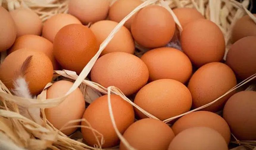 Yumurta Etiketlerinde Yeni Dönem!