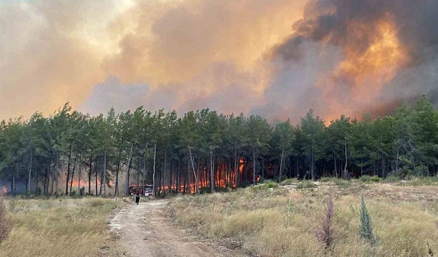 Antalya’da Üç İlçede Orman Yangını: Yerleşim Yerleri Tahliye Edildi