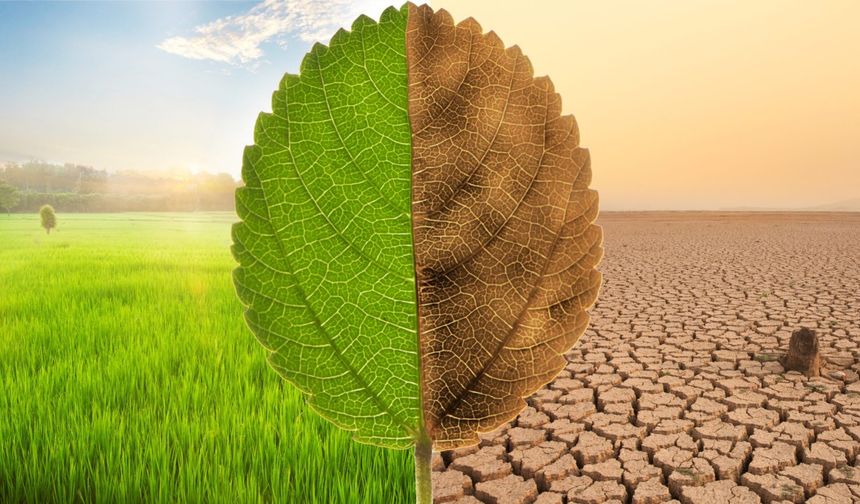 İklim Değişikliği ve Tarım: Üretim Kalıpları Nasıl Değişiyor?