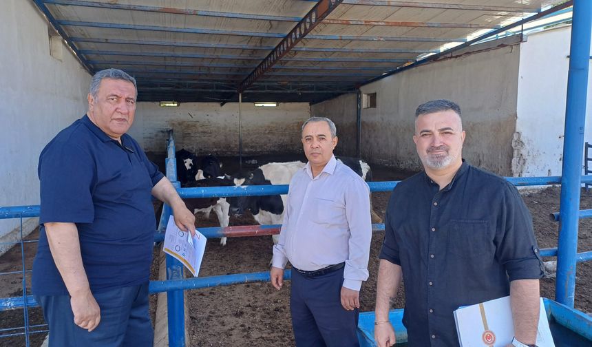 Gürer’den Hayvancılık Raporu: Ne Üreten Kazanıyor Ne Tüketen Ete Ulaşıyor