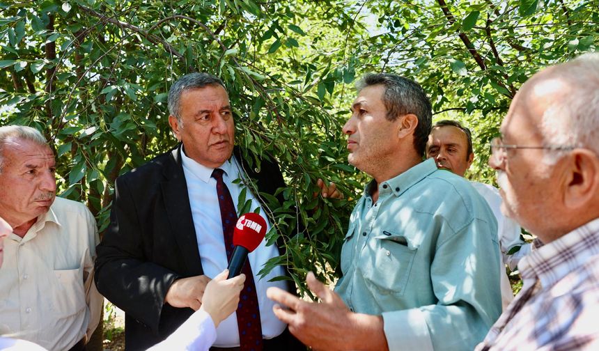 Zirai Donun Yarattığı Felaketin Ortasında: “Ürün Yok, Para Yok, Destek Yok”
